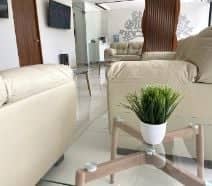 Slider image (6) Sani Dental Group Playacar